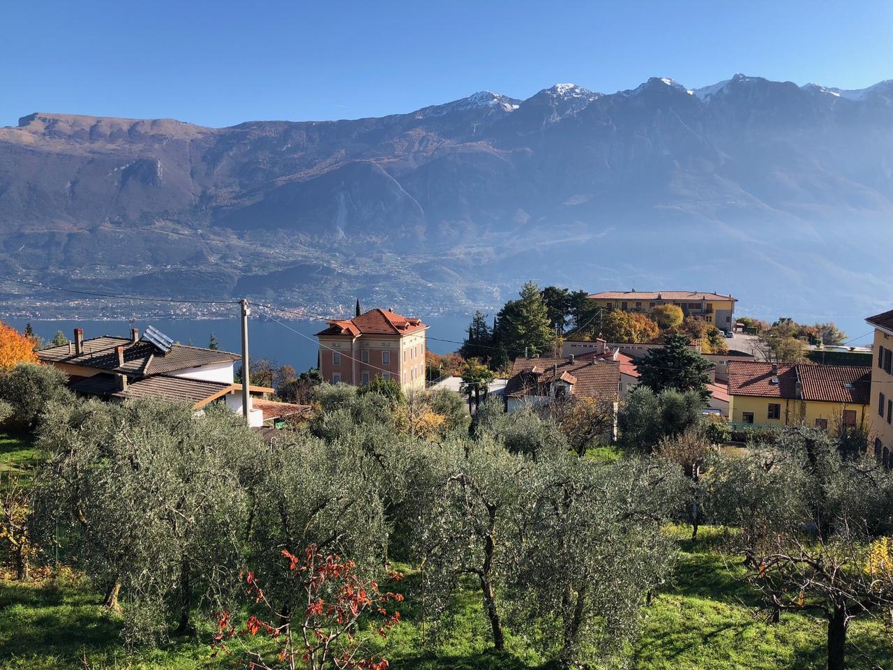 Baugrundstück mit Olivenhain und Blick auf den Gardasee in Pieve, Tremosine