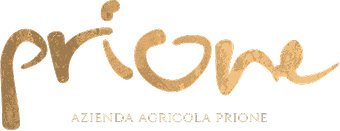 Prione – Öl & Wein