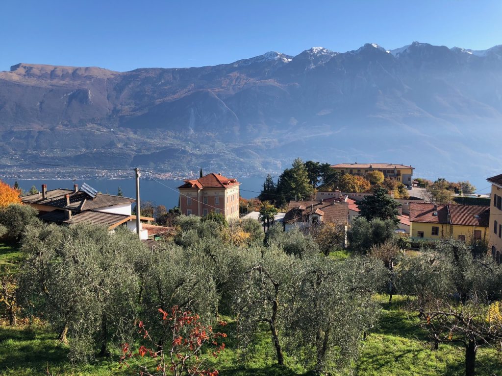 Wunderschönes, ruhiges Baugrundstück mit herrlichem Olivenhain und großartigem Blick auf den Gardasee in Pieve / Tremosine zu verkaufen